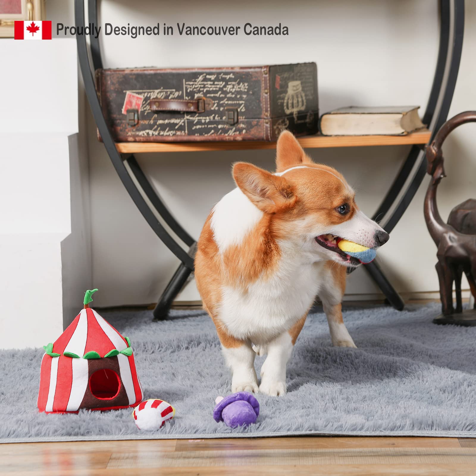 Pet Supplies : HugSmart Pet – Happy Circus |Squeaky Hide and